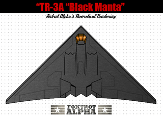 Illustration for article titled So What Were Those Secret Flying Wing Aircraft Spotted Over Texas?